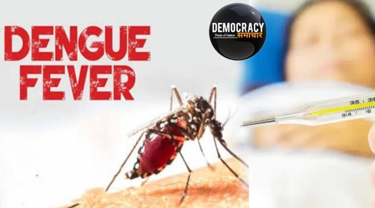 Kanpur Dengue News: कानपुर में डेंगू का खतरा बरकरार, 24 घंटे में मिले 3 नए मरीज, स्वास्थ्य विभाग ने 940 घरों में चलाया लार्वा विनष्टीकरण अभियान